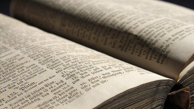 Yle: более 15 грузовиков Библий отправили на Украину с начала СВО