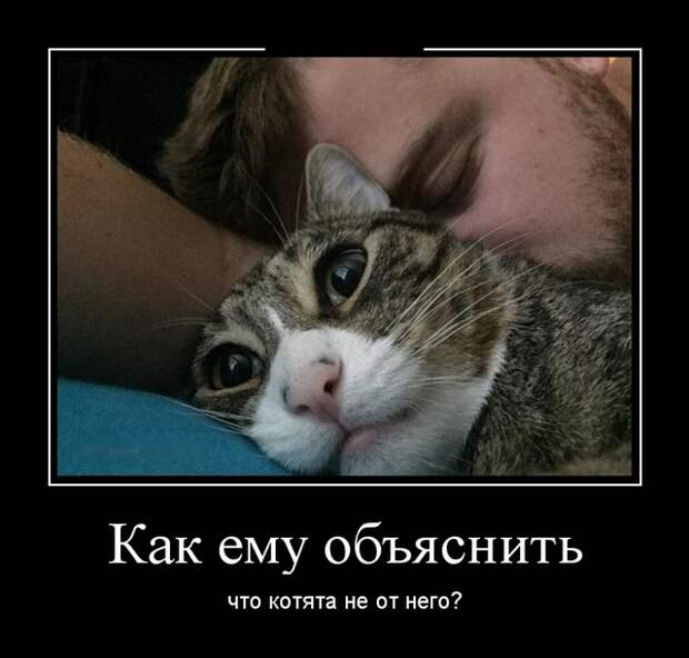 www.vsyako.net