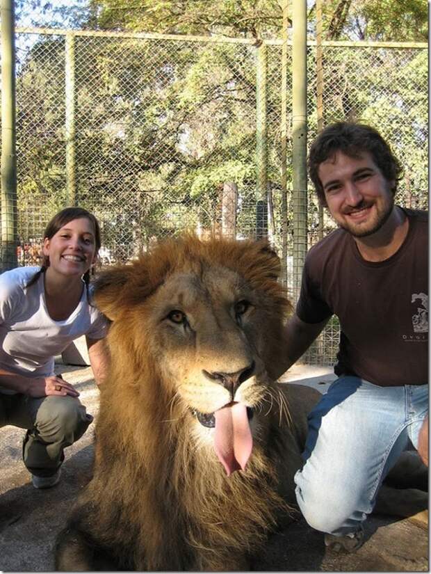 extreme-zoo_5_(funnypagenet.com)