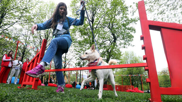 На фестивале "Пасхальный дар" пристроили 11 животных из приютов