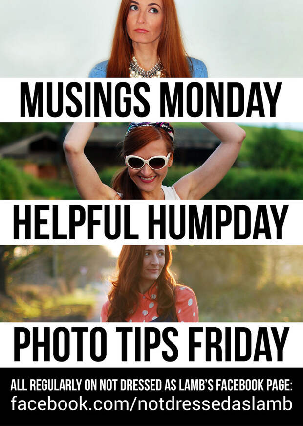 Mondays, Wednesdays and Fridays on Not Dressed As Lamb's Facebook Page