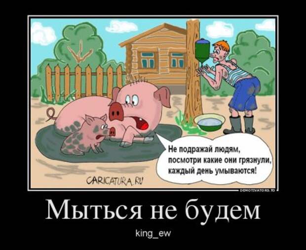 Демотиваторы, наши прикольные цитаты.