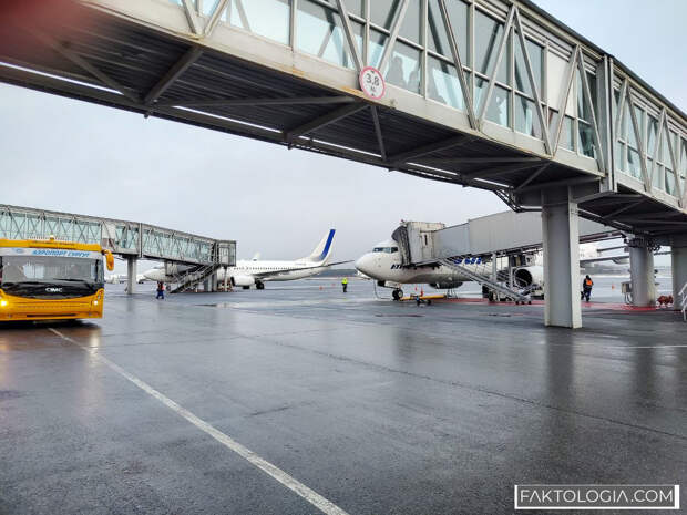 Власти ХМАО намерены навести порядок с парковками в аэропортах