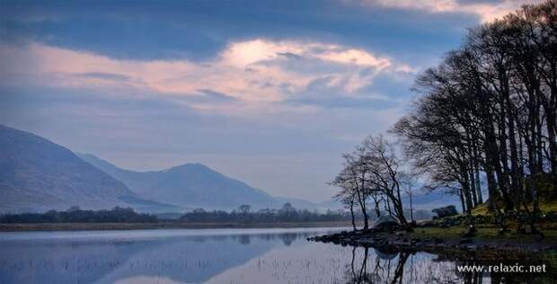 nature_015
