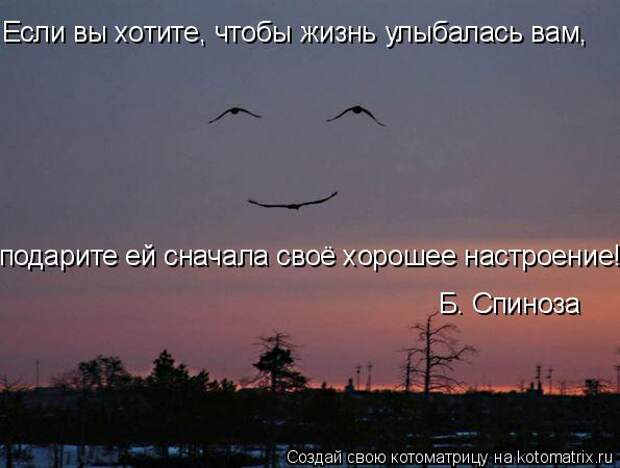 Если вы хотите, чтобы жизнь улыбалась вам, подарите ей сначала своё хорошее настроение! Б. Спиноза