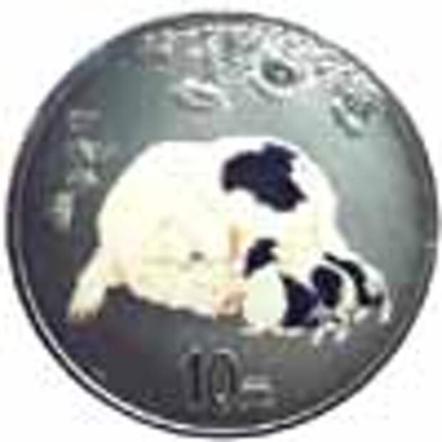 China color pig coin