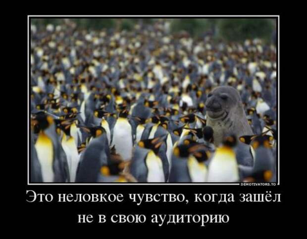 Немного новых демотиваторов