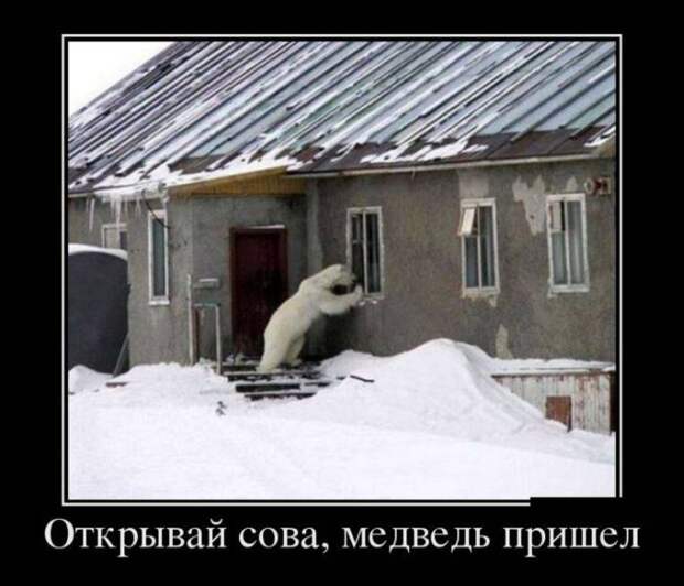 Демотиваторы часть 37 (31 фото) Демотиваторы часть 37 (31 фото)