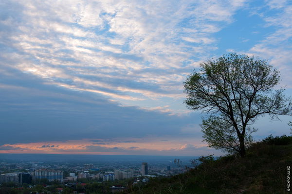 ГОРОД У САМОГО НЕБА