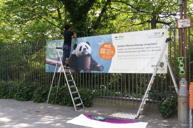 В Берлинский зоопарк привезли двух больших панд из Китая