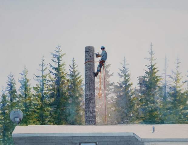 Мужчина опиливает деревья. Автор: Tim Gardner.
