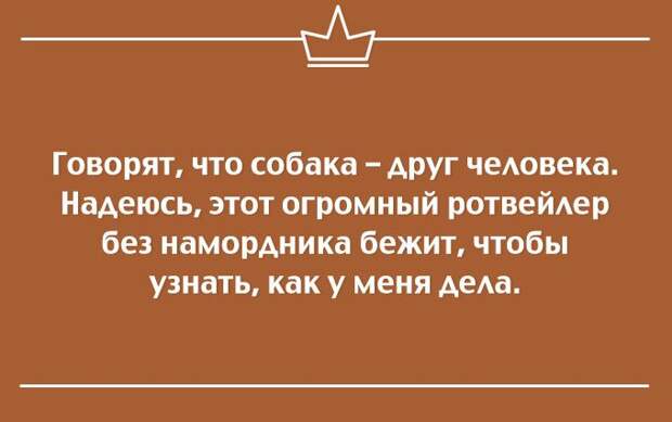 25 саркастичных открыток открытки, сарказм, юмор