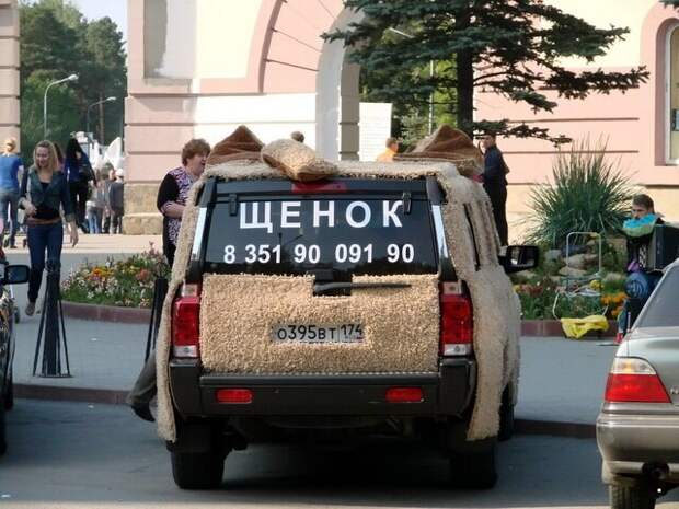 Автовсячина Автовсячина, авто, автомобиль, автоприкол, машина, прикол