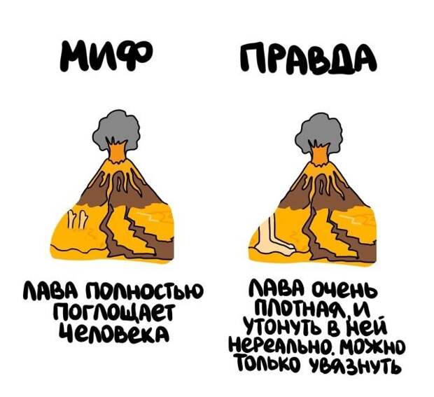Короткие интересные факты на все случаи жизни