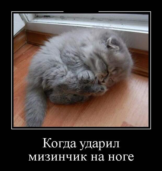 Демотиваторы (30 фото)