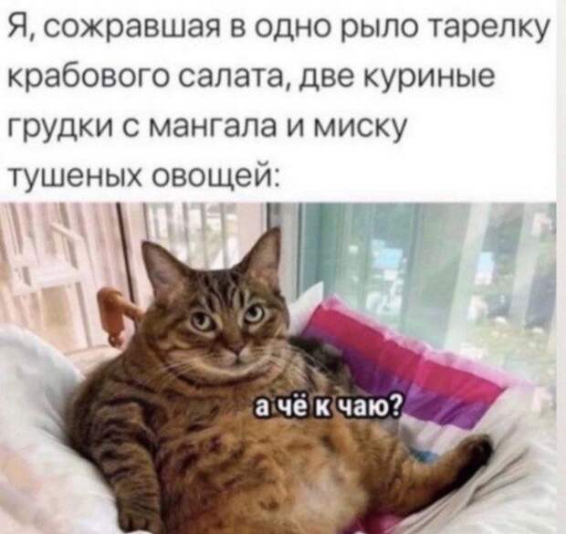 Лучшие шутки и мемы из Сети