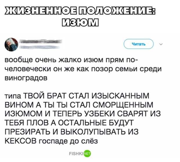 Картинки с надписями для настроения картинки с подписями, мэмы, подборка, позитив, юмор
