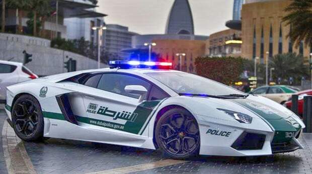 Картинки по запросу Полиция Дубаи в действии! ШОК! — И как после такого не хотеть там жить?!