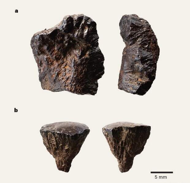 Самый древний костёр