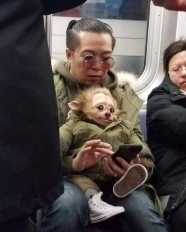 Странности в метро (32 фото)