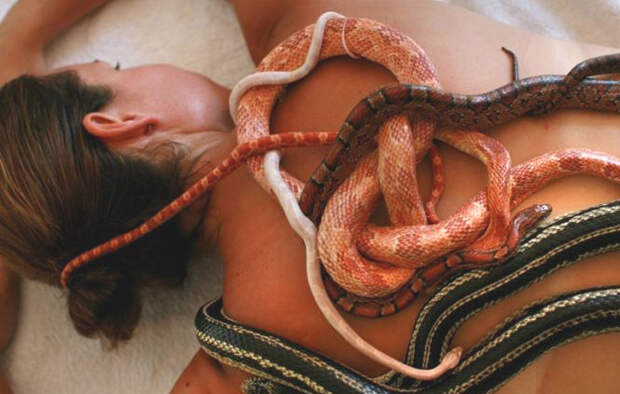 Massage By Snakes