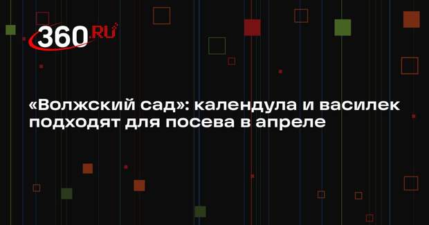 «Волжский сад»: календула и василек подходят для посева в апреле