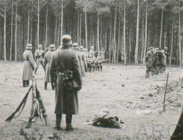 война