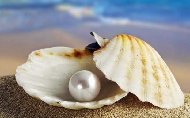 Все обо всем – 25 фактов, о которых знают не все