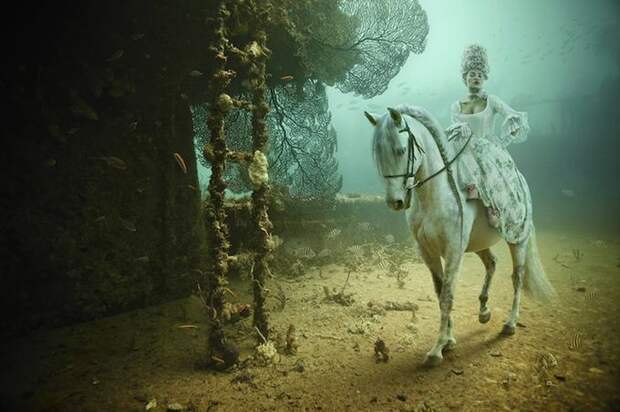 Невероятная фотогалерея на дне моря от Andreas Franke (4)