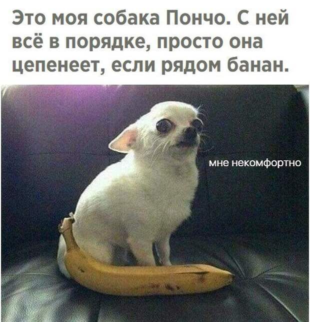 Нестандартный юмор