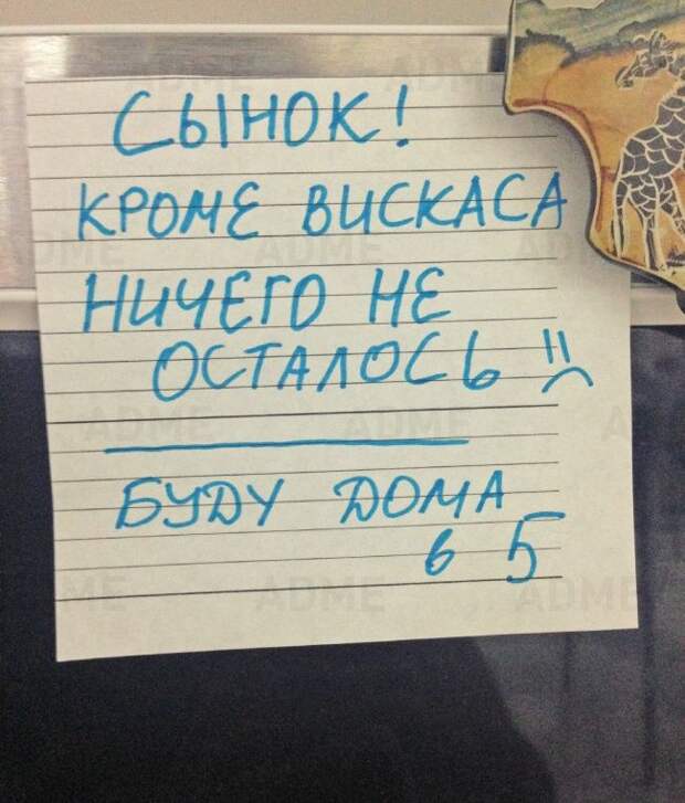 Записки, наполненные родительской любовью родители, прикол, записки