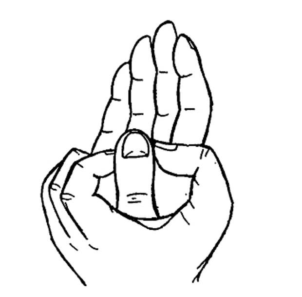 pic40 (360x354, 46Kb)