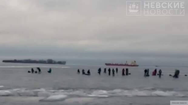 Безработные латышские рыбаки "нашли себя" в России