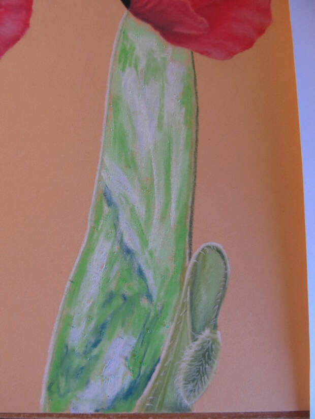 Рисуем маки