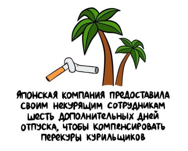 Короткие интересные факты на все случаи жизни