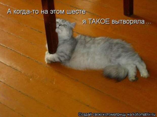 Котоматрицы(картинки с надписями)