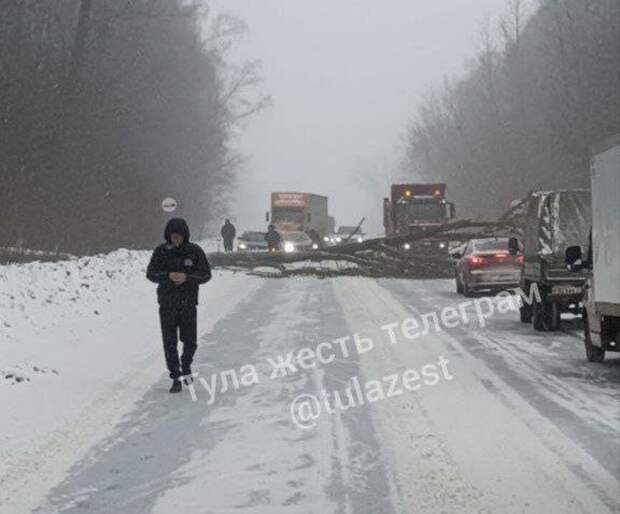 Дерево и занесённый автобус заблокировали дорогу между деревнями в Тульской области