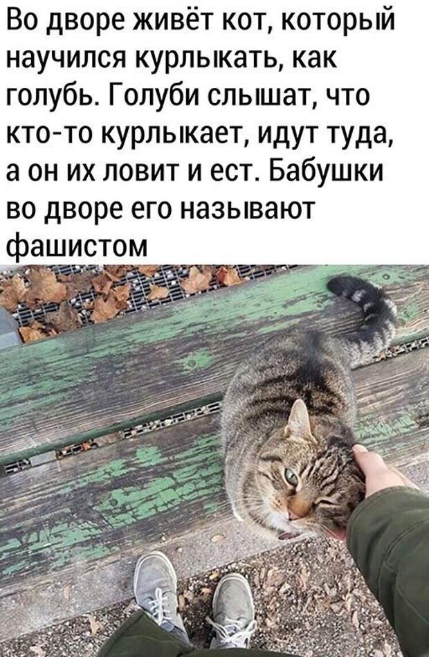 Интересно, правда ли это? Интересно, правда ли это?