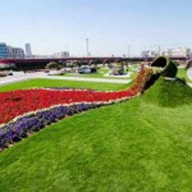 Dubai Miracle Garden