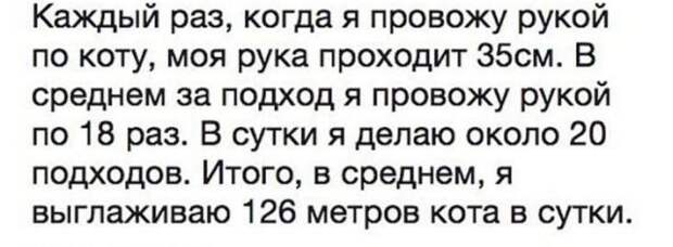 Подборка картинок. Вечерний выпуск (24 фото)