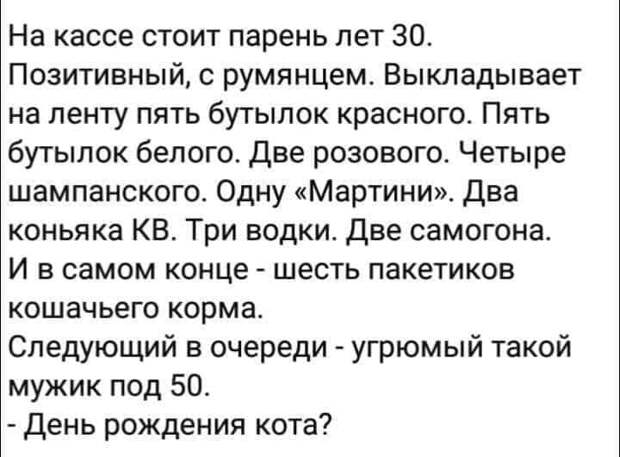 На изображении может находиться: текст «на кассе стоит парень лет 30. позитивный, с румянцем. выкладывает на ленту пять бутылок красного. пять бутылок белого. две розового. четыре шампанского. одну <мартини>>. два коньяка KB. три водки. две самогона. и в самом конце шесть пакетиков кошачьего корма. следующий в очереди мужик под 50. -день рождения кота? угрюмый такой»