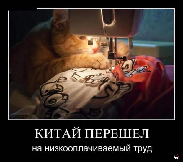 Демотиваторы и мотиваторы. Демки вторник Демотиваторы и мотиваторы. Демки вторник