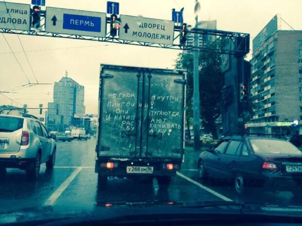 Прикольные картинки