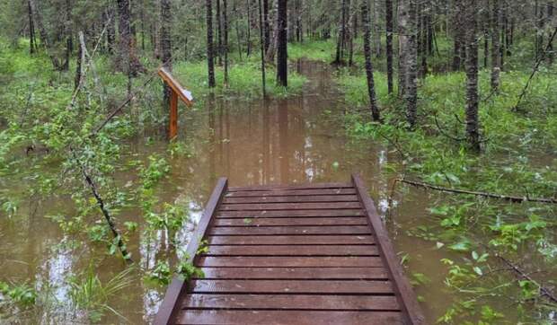 Воды по колено: национальный парк "Зигальга" затопило ливнями