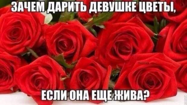 Прикольных картинок подборка (43 шт)