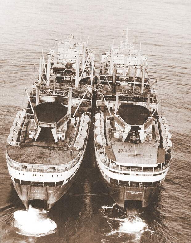 Китобазы-близнецы Советская Украина и Советская Россия, построенные в Николаеве в 1959 и 1961 годах. Каждая из них перерабатывала до 75 китовых туш в сутки
