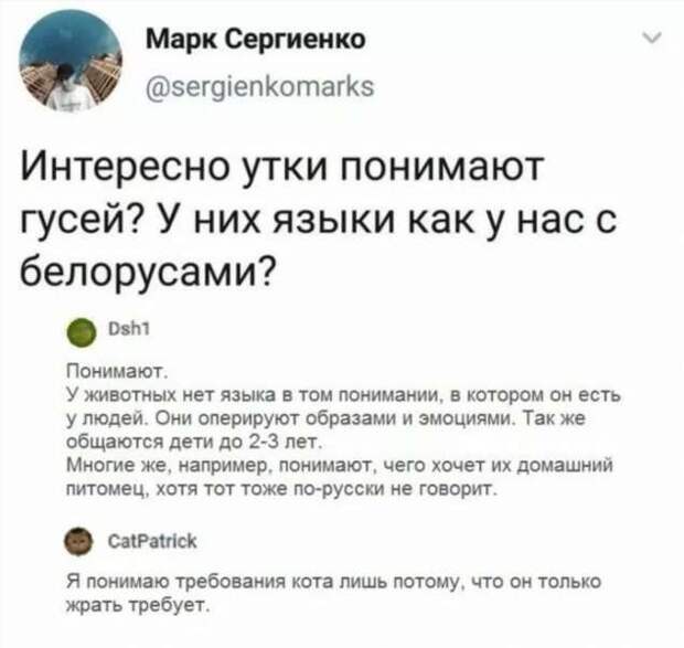 Смешные комментарии. Подборка chert-poberi-kom-chert-poberi-kom-06260913072020-3 картинка chert-poberi-kom-06260913072020-3