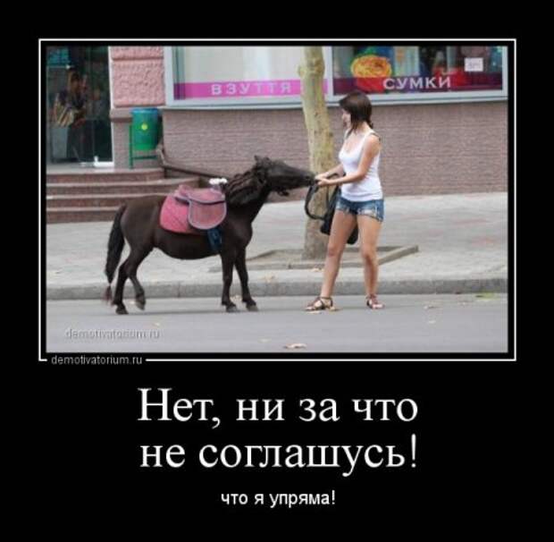 Демотиваторы о женской логике!