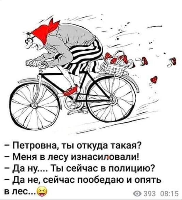 Все женщины делятся на две категории. Одни любят мужчин...