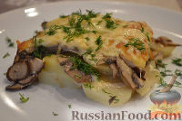 Фото к рецепту: Картофельная запеканка с грибами и сыром
